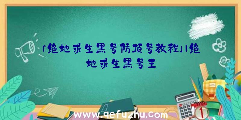 「绝地求生黑号防顶号教程」|绝地求生黑号王